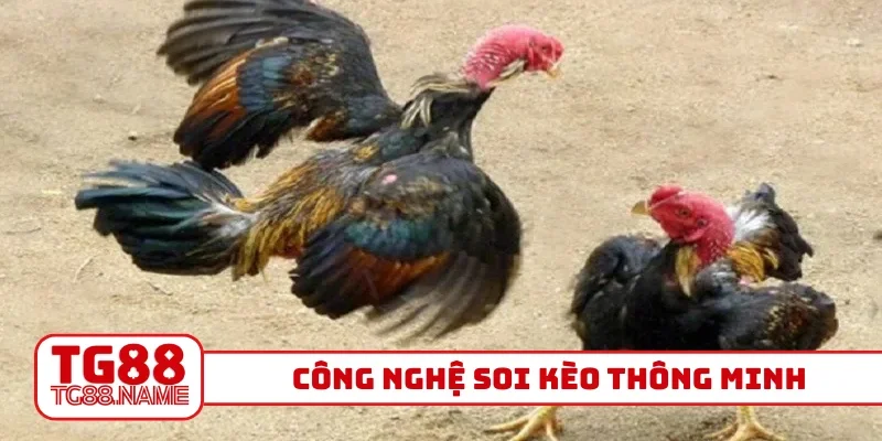 Công nghệ soi kèo thông minh